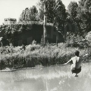 Un bañista se lanza al río Tajo en Aranjuez