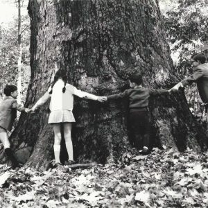 Grupo de niños rodeando el llamado «Plátano Padre» del Jardín del Príncipe en Aranjuez