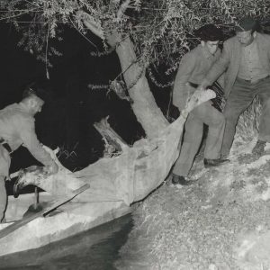 Agentes de la Guardia Civil desembarcan el cadáver de una persona ahogada en el rio Tajo, entre Añover de Tajo y Aranjuez