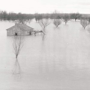 Crecida del río Jarama en Aranjuez
