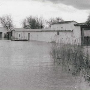 Crecida del río Jarama en Aranjuez