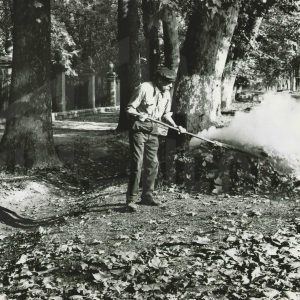 Un trabajador barriendo y quemando las hojas de los árboles en la Calle de la Reina en Aranjuez