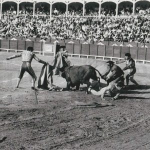 Cogida del torero Luis Segura en la Plaza de Toros de Aranjuez