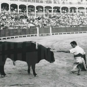 El torero Luis Segura volviento a torear en la corrida en la plaza de toros de Aranjuez tras haber sido cogido