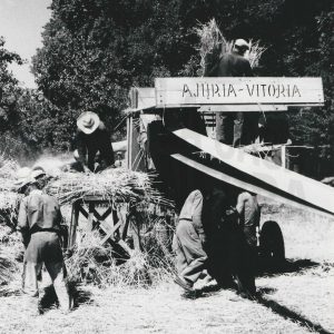 Segadores haciendo sus tareas en los campos de Aranjuez