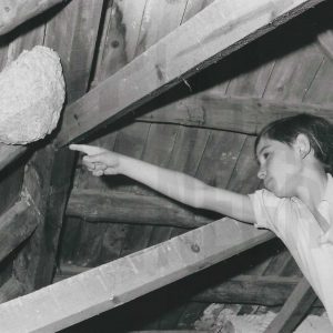 Niño señala un nido de avispas