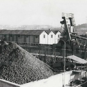 Remolacha almacenada en la Azucarera de Aranjuez