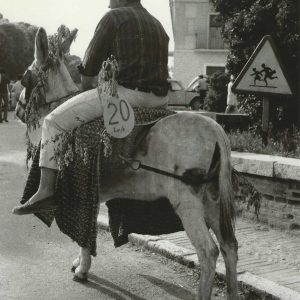 Hombre montado en un burro en el Cortijo de San Isidro