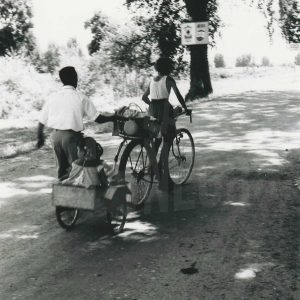 Bicicleta con remolque por camino arbolado