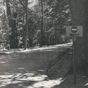 Calle arbolada de Aranjuez con una señal de dirección prohibida