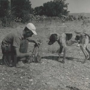 Un hombre con varias perdices muertas junto a un perro en el campo