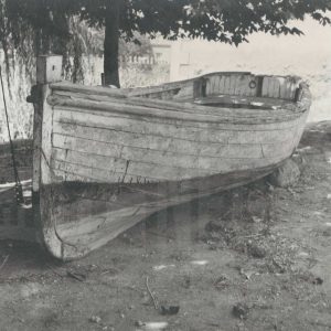 Una barca bajo un árbol junto al río Tajo en Aranjuez