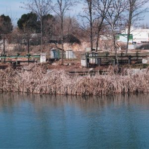 Orilla del río Tajo en Aranjuez