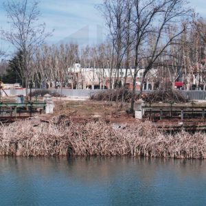 Orilla del río Tajo en Aranjuez