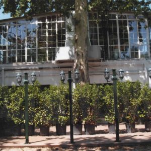 Vista lateral del Restaurante El Rana Verde de Aranjuez