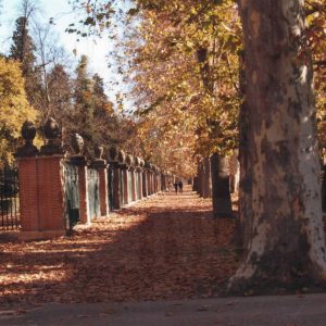 Inicio del paseo peatonal de la Calle de la Reina, junto a la entrada principal del Jardín del Príncipe de Aranjuez