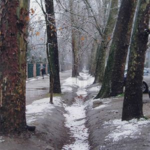 Paseo de la Calle de la Reina de Aranjuez nevado