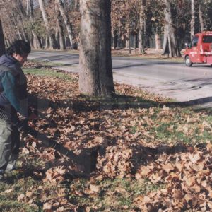 Un trabajador municipal barriendo hojas con una máquina sopladora en la Calle de la Reina en Aranjuez