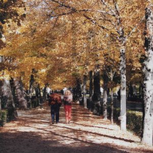 Dos personas paseando por el paseo lateral de la Calle del Embarcadero del Jardin del Príncipe de Aranjuez