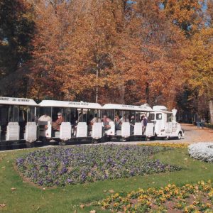 Tren turístico en la Plaza de Pamplona en el Jardin del Príncipe de Aranjuez
