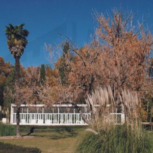 Invernaderos del Jardin del Príncipe de Aranjuez