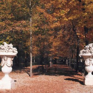 Jarrones de la Plaza de Pamplona y paseo lateral de la Calle del Embarcadero en el Jardín del Príncipe de Aranjuez