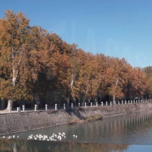 Presa del Rio Tajo desde el Jardín del Parterre, con vista del Jardín de la Isla y el rio Tajo en Aranjuez