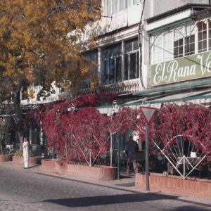 Restaurante El Rana Verde en Aranjuez