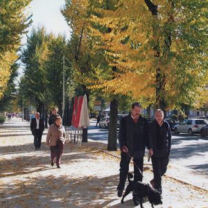 Varias personas paseando por la Calle Infantas en Aranjuez