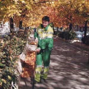 Un trabajador de limpieza viaria retirando hojas del suelo en el paseo central de la Calle Capitán en Aranjuez