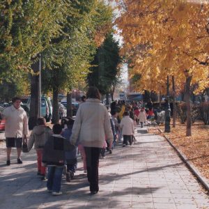 Niños y niñas de un colegio caminando con sus profesoras por el paseo de la Calle Infantas en Aranjuez