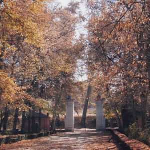 Calle y Puerta de Apolo en el Jardín del Príncipe de Aranjuez