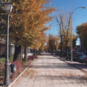 Paseo lateral de la Calle Infantas de Aranjuez