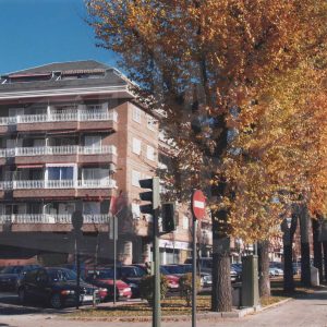 Edificios y paseo lateral de la Calle Infantas de Aranjuez