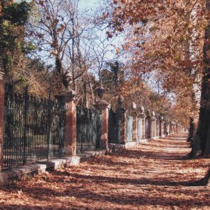 Paseo lateral de la Calle de la Reina junto a la verja del Jardín del Príncipe de Aranjuez