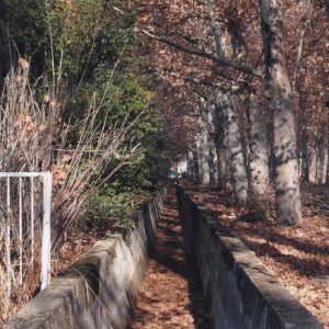 Cacera de regadio en una calle arbolada en Aranjuez