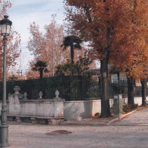 Banco en la Glorieta de Santiago Rusiñol entre las calles Infantas y Príncipe de Aranjuez