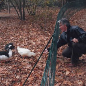 Un hombre da de comer a los patos del Estanque de los Chinescos del Jardín del Príncipe de Aranjuez
