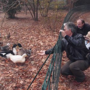Varias personas dando de comer a los patos del Estanque de los Chinescos del Jardín del Príncipe de Aranjuez