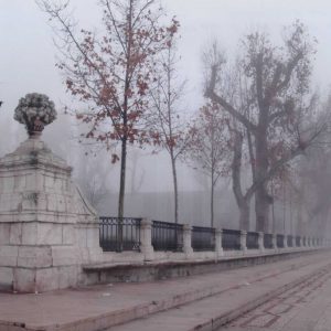 Verja del Jardín de Isabel II de Aranjuez desde la Carrera de Andalucía, con niebla