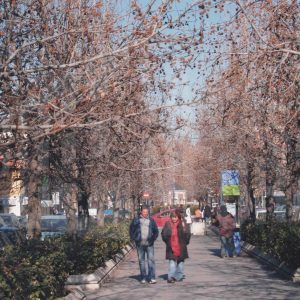 Varias personas en el paseo central de la Calle Capitan de Aranjuez