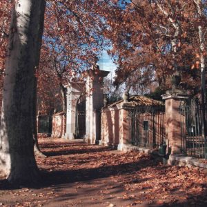 Vista lateral de la entrada al Jardin del Príncipe de Aranjuez por la Plaza Redonda
