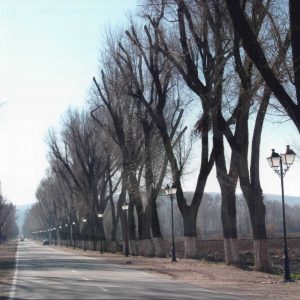 Calle del Cortijo de San Isidro de Aranjuez con un poco de bruma
