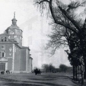 Vacas pastando en la puerta de la Iglesia de Alpajés de Aranjuez