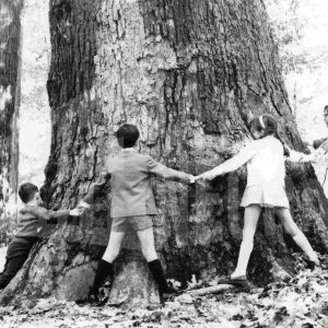 Grupo de niños abrazan el árbol «Plátano Padre» en el Jardín del Príncipe de Aranjuez