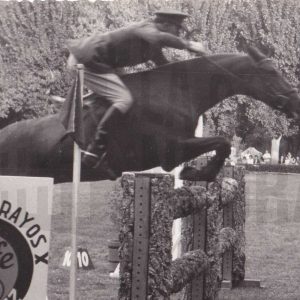 Un jinete militar a caballo durante un concurso de saltos en Aranjuez