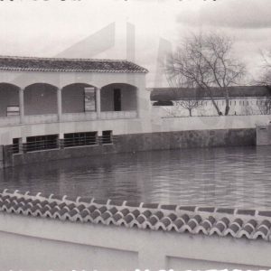Inundación en el tentadero de la finca de Palomo Linares en Seseña