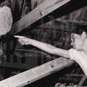 Juan Antonio Talavera señala un nido de avispas