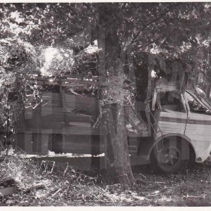 Vehículo accidentado: camión Pegaso MA-29458