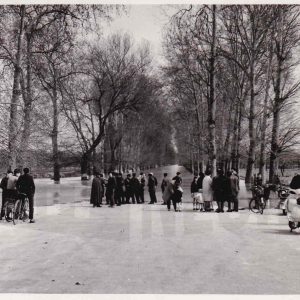 Riada en los Sotos Históricos en Aranjuez